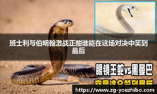 yoo直播