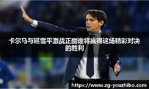 卡尔马与延雪平激战正酣谁将赢得这场精彩对决的胜利
